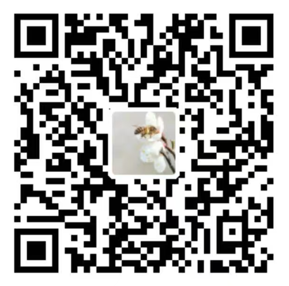 支付宝收款码